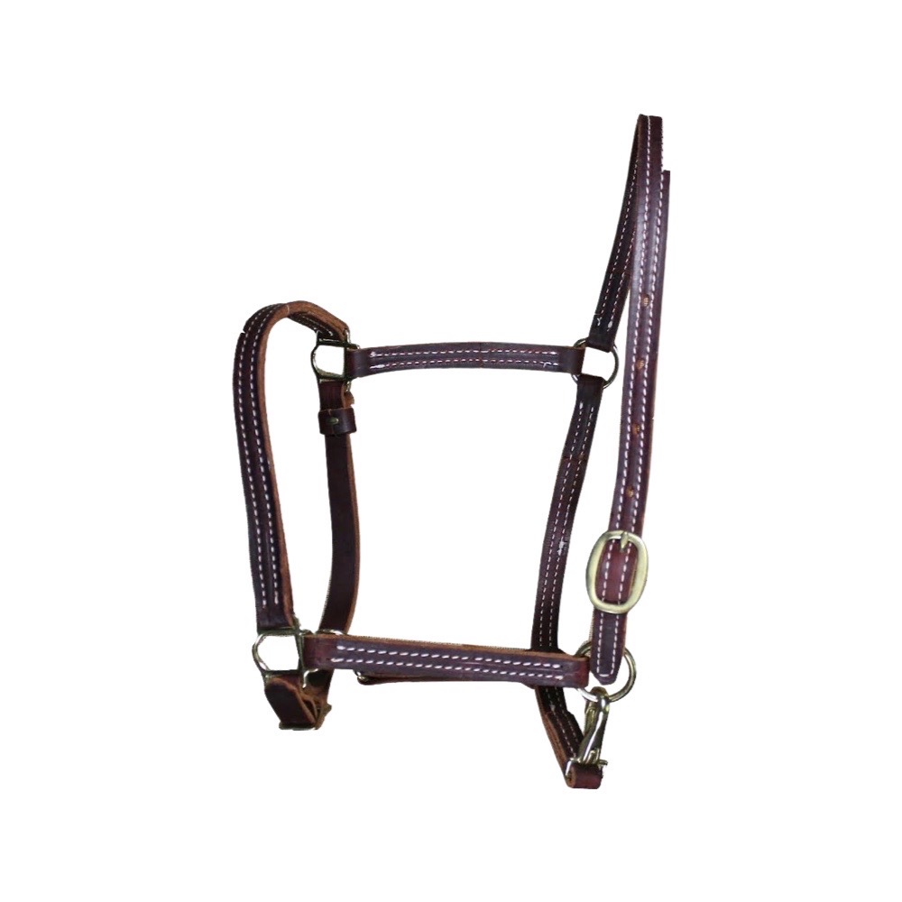 Leather Headcollar