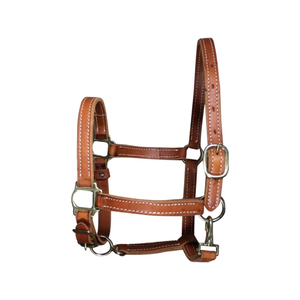 Leather Headcollar